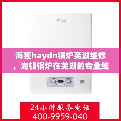 海顿haydn锅炉芜湖维修，海顿锅炉在芜湖的专业维修服务