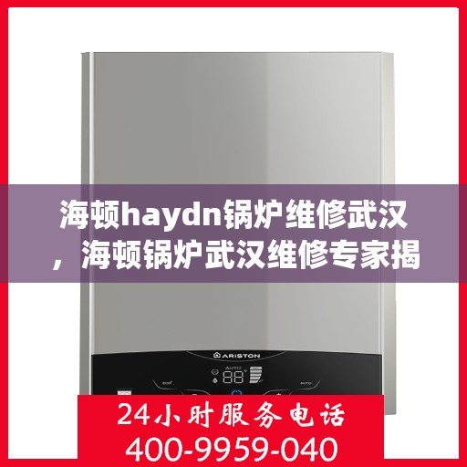 海顿haydn锅炉维修武汉，海顿锅炉武汉维修专家揭秘，专业维修流程与技巧