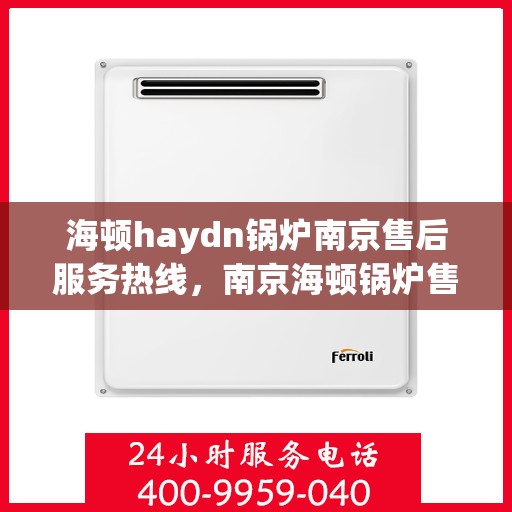 海顿haydn锅炉南京售后服务热线，南京海顿锅炉售后服务热线，专业团队为您提供全方位支持