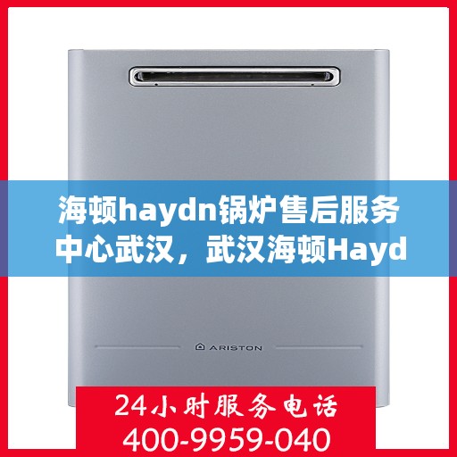 海顿haydn锅炉售后服务中心武汉，武汉海顿Haydn锅炉售后服务中心，专业维修与贴心服务
