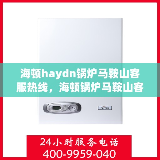 海顿haydn锅炉马鞍山客服热线，海顿锅炉马鞍山客服热线，专业解答，贴心服务