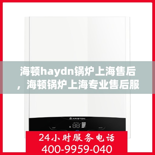 海顿haydn锅炉上海售后，海顿锅炉上海专业售后服务团队，专注维修，贴心保障