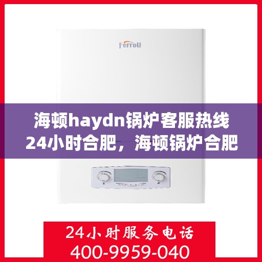 海顿haydn锅炉客服热线24小时合肥，海顿锅炉合肥24小时客服热线全面支持
