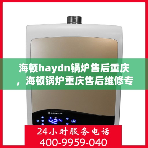 海顿haydn锅炉售后重庆，海顿锅炉重庆售后维修专业服务