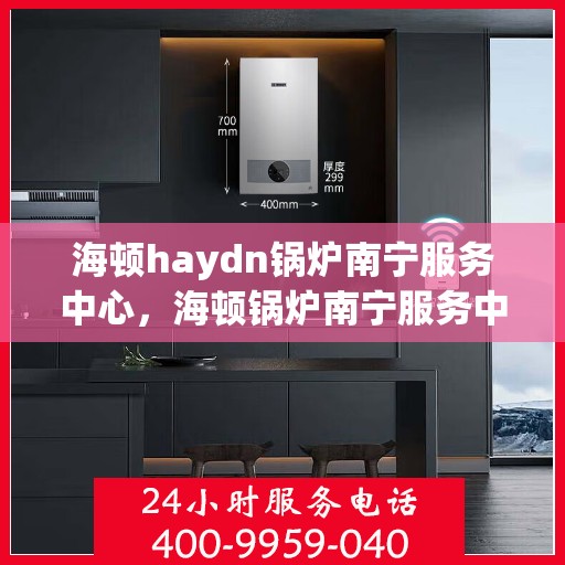 海顿haydn锅炉南宁服务中心，海顿锅炉南宁服务中心，专业维修与保养一站式解决方案