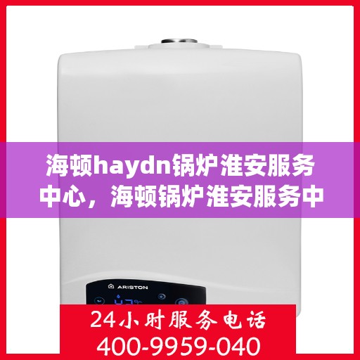 海顿haydn锅炉淮安服务中心，海顿锅炉淮安服务中心，专业维修与优质服务并行