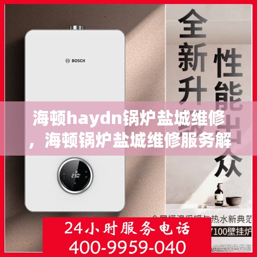 海顿haydn锅炉盐城维修，海顿锅炉盐城维修服务解析