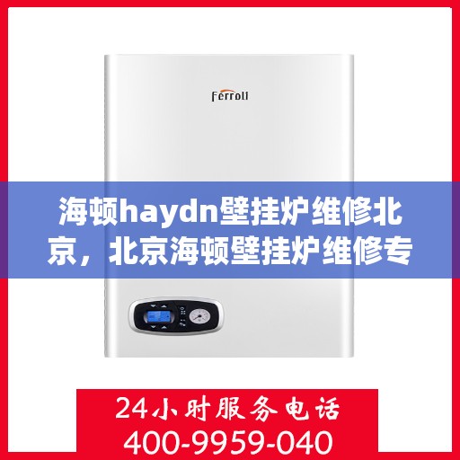 海顿haydn壁挂炉维修北京，北京海顿壁挂炉维修专家解析与解决方案