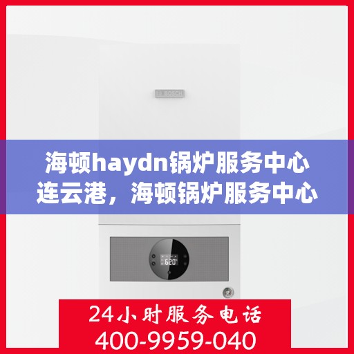 海顿haydn锅炉服务中心连云港，海顿锅炉服务中心连云港，专业维修与高效服务