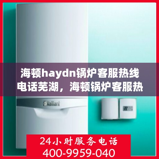 海顿haydn锅炉客服热线电话芜湖，海顿锅炉客服热线电话芜湖专线接入指南