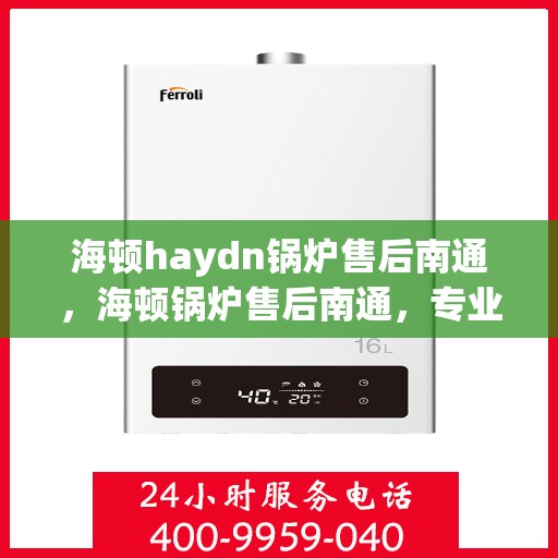 海顿haydn锅炉售后南通，海顿锅炉售后南通，专业维修与贴心服务
