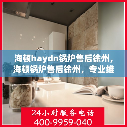 海顿haydn锅炉售后徐州，海顿锅炉售后徐州，专业维修与贴心服务