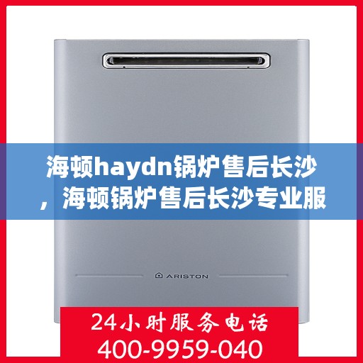 海顿haydn锅炉售后长沙，海顿锅炉售后长沙专业服务解析