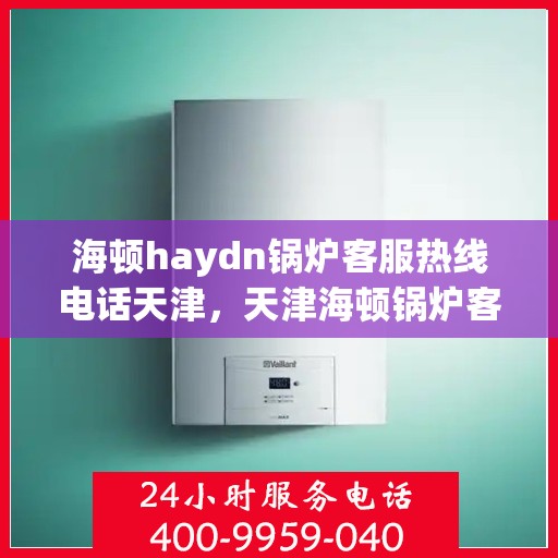 海顿haydn锅炉客服热线电话天津，天津海顿锅炉客服热线电话专业服务，为您解答疑问！