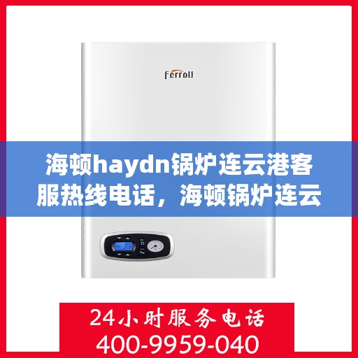 海顿haydn锅炉连云港客服热线电话，海顿锅炉连云港客服热线电话，专业支持与解决方案的链接