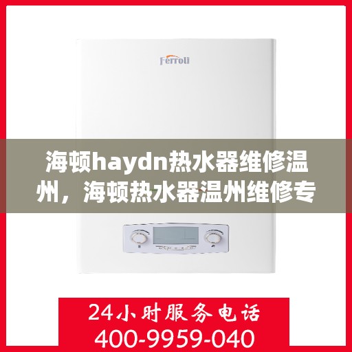 海顿haydn热水器维修温州，海顿热水器温州维修专家解析故障，快速解决您的热水困扰