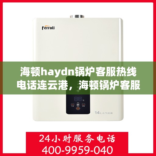 海顿haydn锅炉客服热线电话连云港，海顿锅炉客服热线电话在连云港，专业支持与解决方案一站式服务