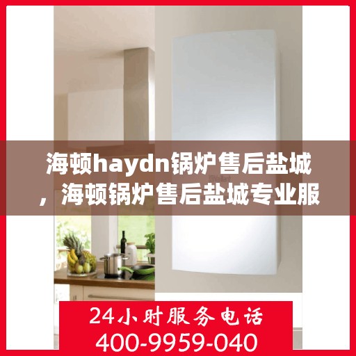 海顿haydn锅炉售后盐城，海顿锅炉售后盐城专业服务