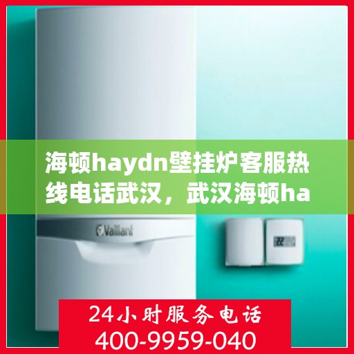 海顿haydn壁挂炉客服热线电话武汉，武汉海顿haydn壁挂炉客服热线电话全攻略