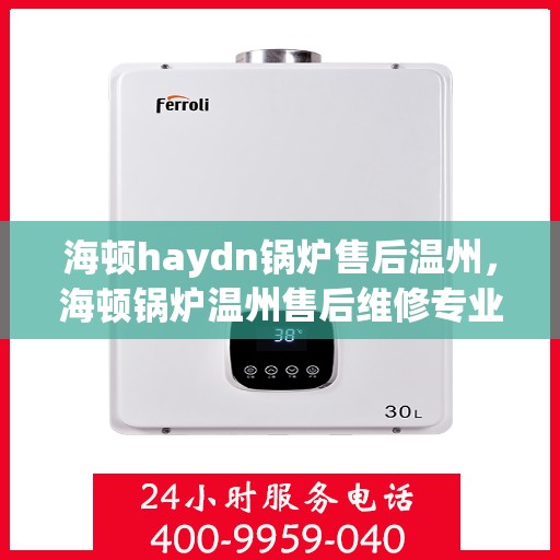 海顿haydn锅炉售后温州，海顿锅炉温州售后维修专业服务