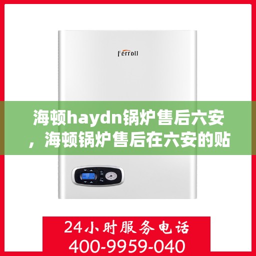 海顿haydn锅炉售后六安，海顿锅炉售后在六安的贴心服务