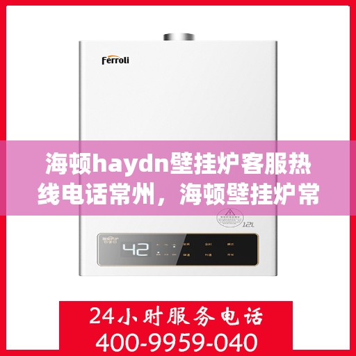 海顿haydn壁挂炉客服热线电话常州，海顿壁挂炉常州客服热线电话，专业支持与解决方案一站式服务