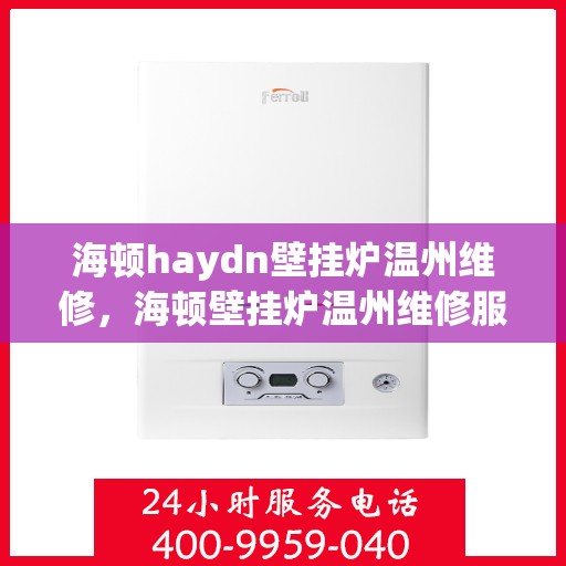 海顿haydn壁挂炉温州维修，海顿壁挂炉温州维修服务指南