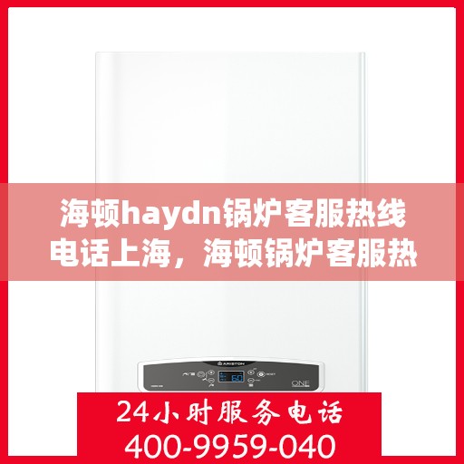 海顿haydn锅炉客服热线电话上海，海顿锅炉客服热线电话在上海，专业支持与解决方案一站式服务