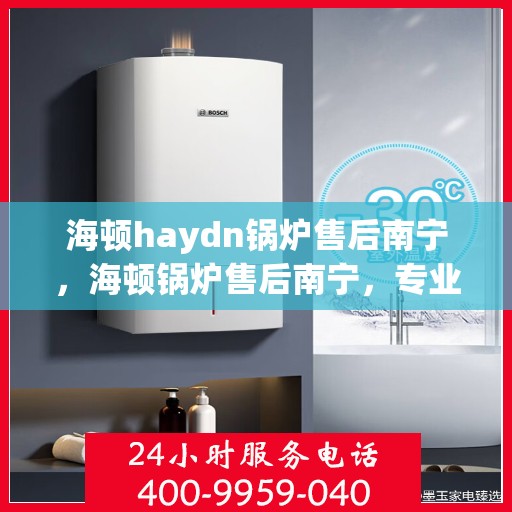 海顿haydn锅炉售后南宁，海顿锅炉售后南宁，专业服务，贴心保障