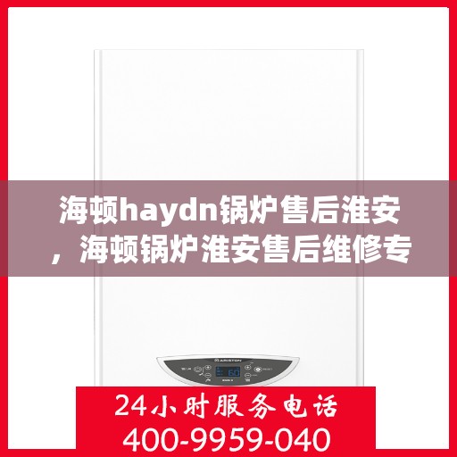 海顿haydn锅炉售后淮安，海顿锅炉淮安售后维修专业服务