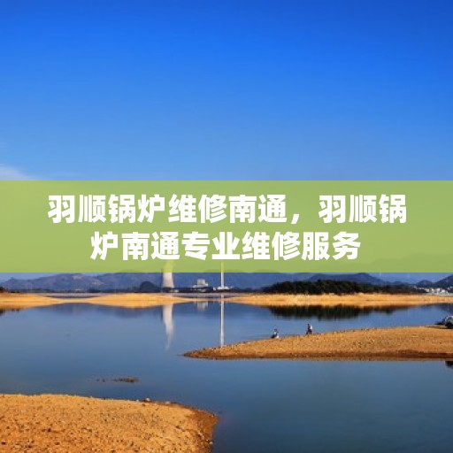 羽顺锅炉维修南通，羽顺锅炉南通专业维修服务