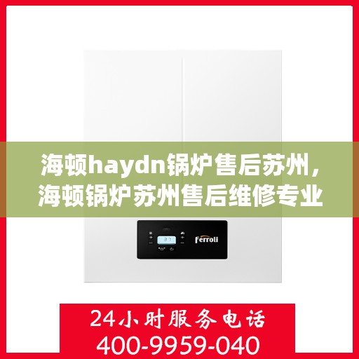 海顿haydn锅炉售后苏州，海顿锅炉苏州售后维修专业服务