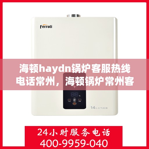 海顿haydn锅炉客服热线电话常州，海顿锅炉常州客服热线电话，专业支持与解决方案一站式服务