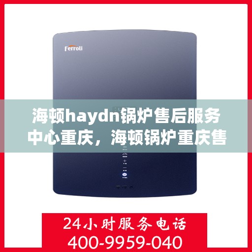 海顿haydn锅炉售后服务中心重庆，海顿锅炉重庆售后服务中心，专业维修，贴心服务