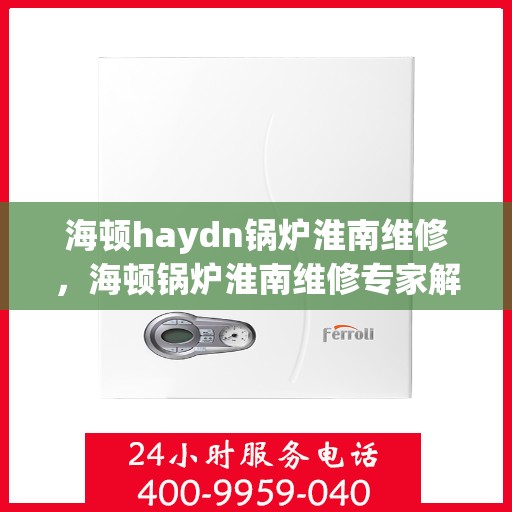 海顿haydn锅炉淮南维修，海顿锅炉淮南维修专家解析与解决方案