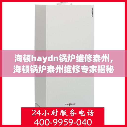 海顿haydn锅炉维修泰州，海顿锅炉泰州维修专家揭秘，专业维护，高效解决故障秘籍