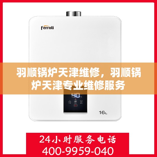 羽顺锅炉天津维修，羽顺锅炉天津专业维修服务