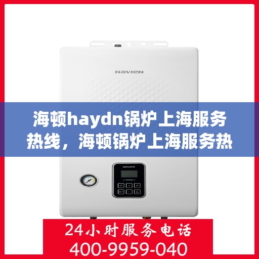 海顿haydn锅炉上海服务热线，海顿锅炉上海服务热线，专业维修与技术支持团队为您解答疑问